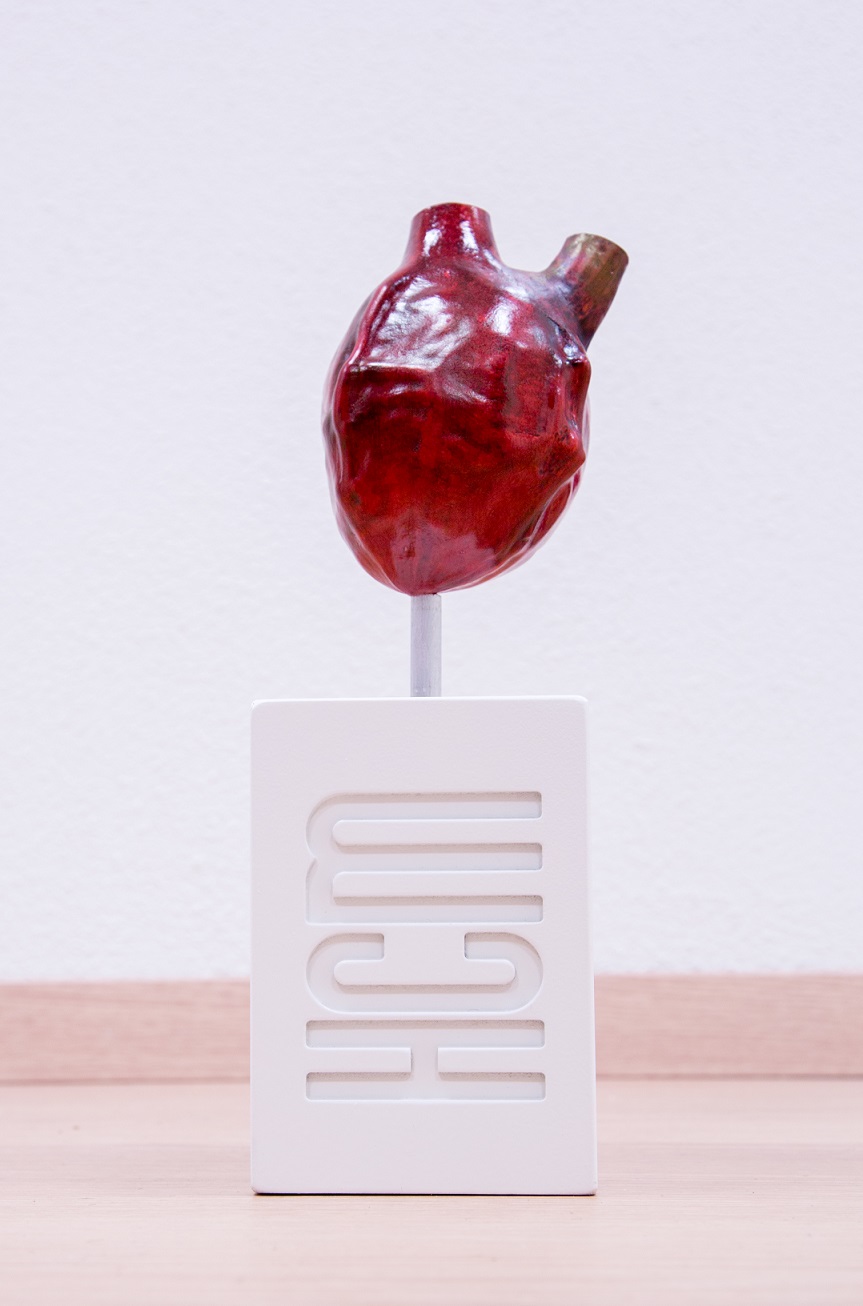 80 Students watching open heart surgery