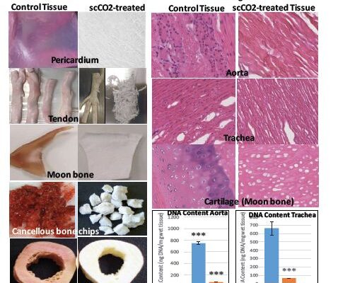 9 April 2018 – SUPER CRITICAL CO2 (SCCO2) TECHNOLOGY
