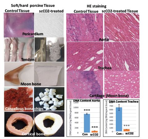 9 April 2018 – SUPER CRITICAL CO2 (SCCO2) TECHNOLOGY